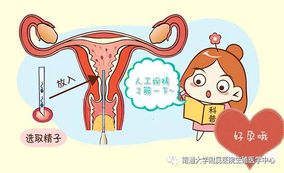 陕西试管