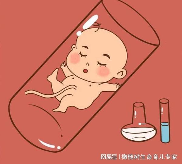 泡卵