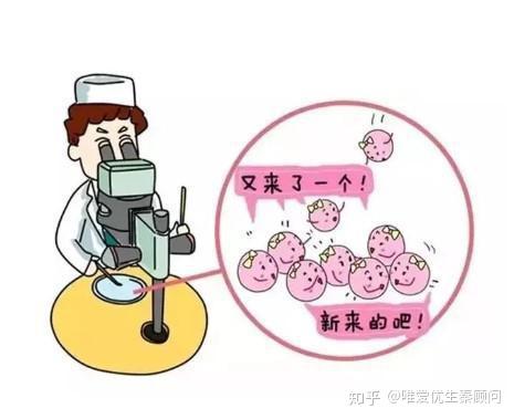 马来西亚试管