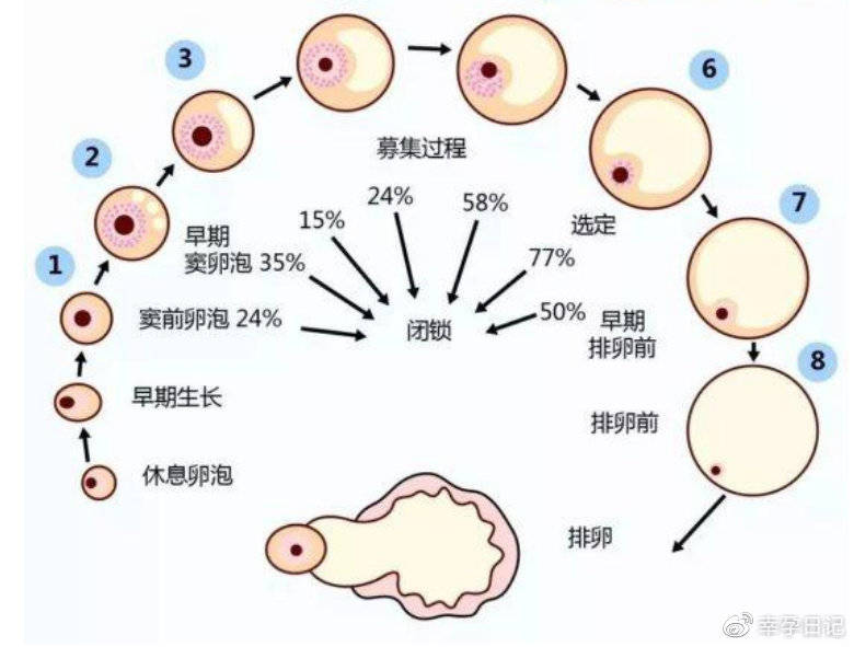 高龄试管婴儿