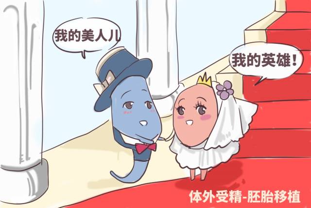 马来西亚试管