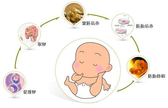 青岛试管婴儿医院