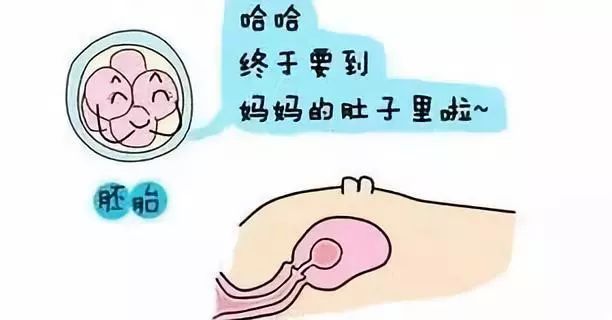 顺产月子注意事项大全