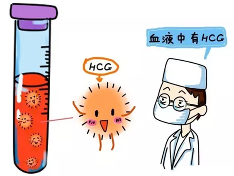 青海助孕公司
