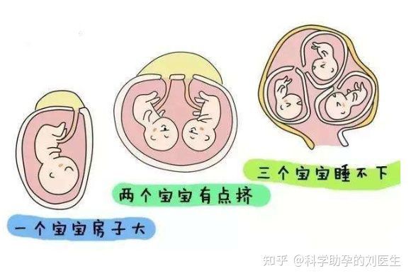 香港试管婴儿