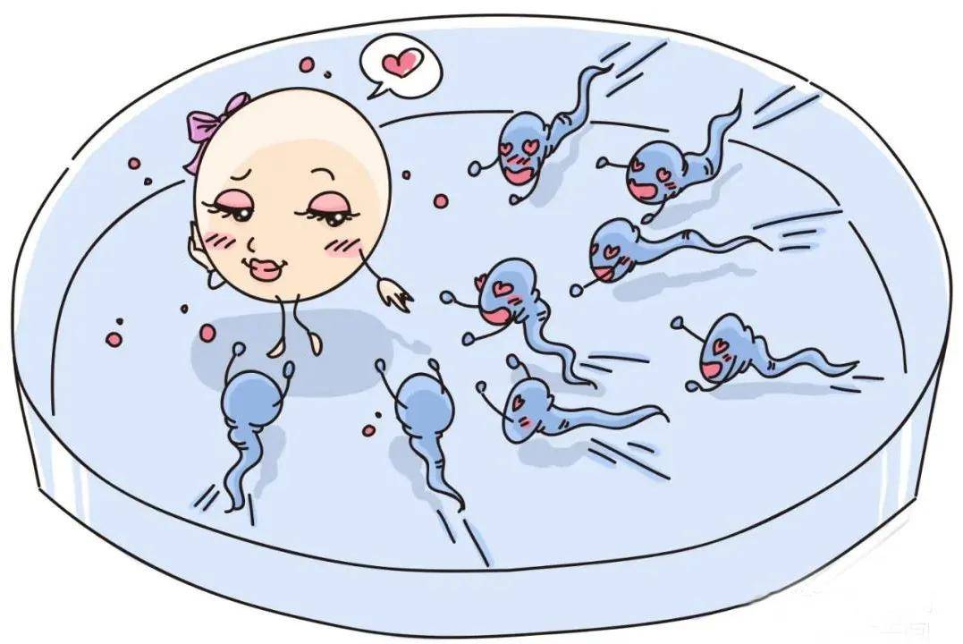 青海试管婴儿