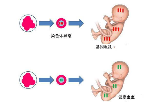 香港试管婴儿医院