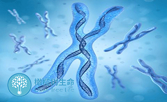放卵